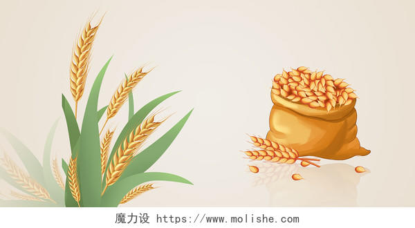芒种简约金黄色小麦麦穗麦粒展板背景24节气小满背景